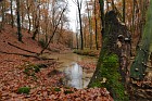 Furlbachtal