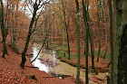 Furlbachtal