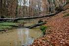 Furlbachtal