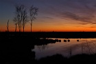 swamp in Germany