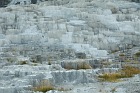 Yellowstone NP, USA