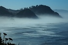 Oregon coast, USA