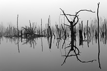 Goldenstedter Moor