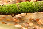 Furlbachtal