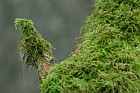 Furlbachtal