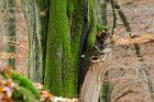 Furlbachtal