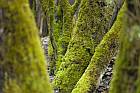 Furlbachtal