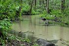 Furlbachtal