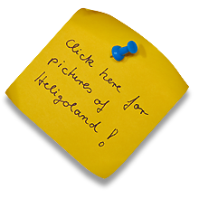 To the picture gallery Heligoland