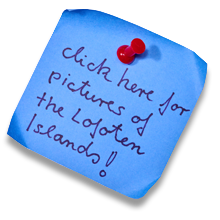 to the photo gallery of the Lofoten