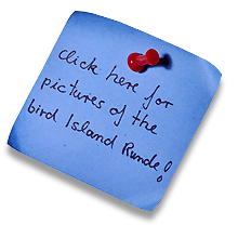 To the picture gallery of Runde
