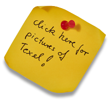 To the picture gallery of Texel