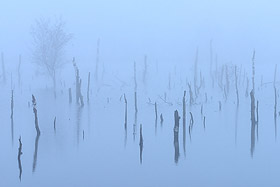 Herbst im Moor