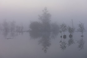Morgens im Goldenstedter Moor