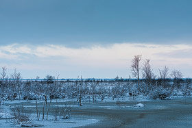 Winter im Goldenstedter Moor