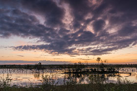 Sonnenaufgang im Goldenstedter Moor