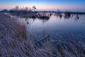 Winter im Goldenstedter Moor