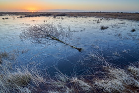 Winter im Diepholzer Moor