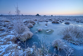 Winterzeit in der Diepholzer Moorniederung