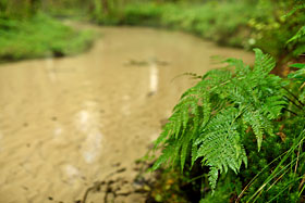 Furlbachtal
