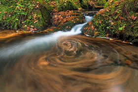 Herbst im Silberbachtal