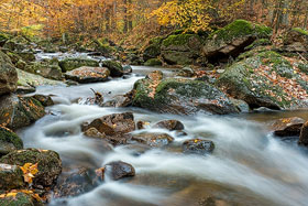 Herbst im Ilsetal