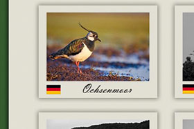Reisebericht Ochsenmoor