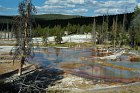 Yellowstone NP, USA