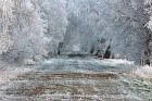 Neustädter Moor im Winter