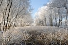Neustädter Moor im Winter