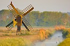 Morgenstimmung auf Texel (Niederlande)
