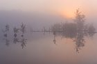 Goldenstedter Moor