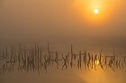 Goldenstedter Moor