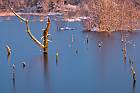 Goldenstedter Moor