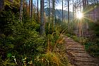 Elbsandsteingebirge