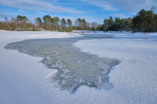 heathland in Germany