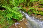 Silberbachtal