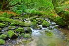 Silberbachtal