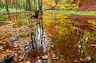 Teutoburger Wald