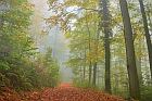 Teutoburger Wald