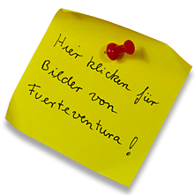 Zur Bildergalerie von Fuerteventura