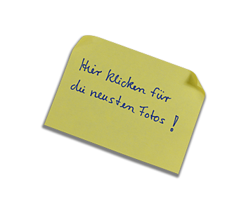 Zu meinen aktuellsten Fotos