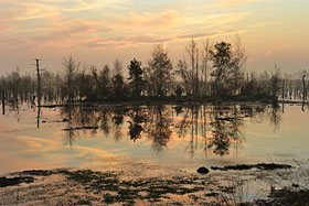 Goldenstedter Moor Goldenstedter Moor