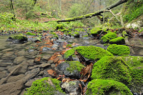 Silberbachtal Silberbachtal