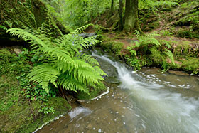 Silberbachtal