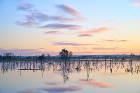 click for larger view