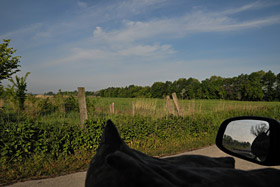 Fotografie aus dem Auto im NP Hansag