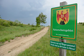 Naturschutzgebiet Thenauriegel im Mai