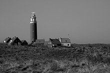 Vogelinsel Texel